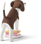 Our curriculum covers a wide range of subjects, including Mathematics, Science, Humanities, and more.